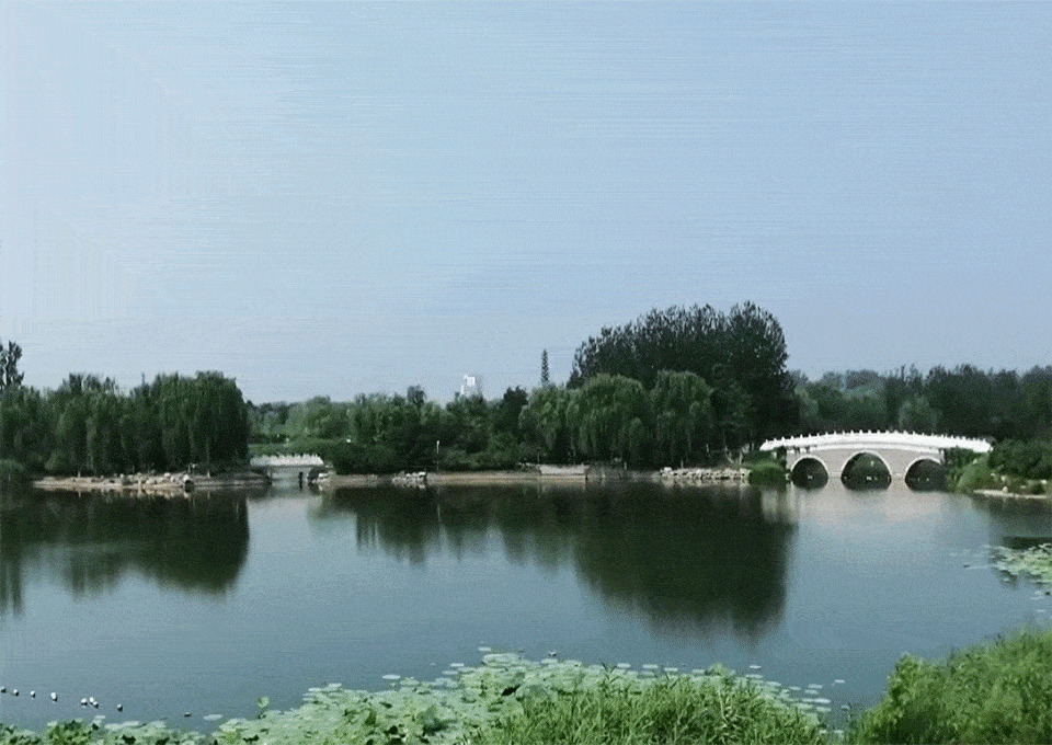 960_680gif 动态图 动图