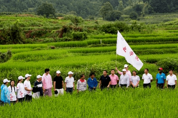 暑期社會實踐鄉村振興實踐篇實踐紮根大地情繫三農發展