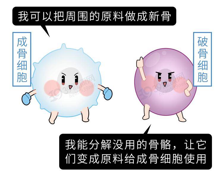 习惯|为什么年轻时，骨头越硬越好？