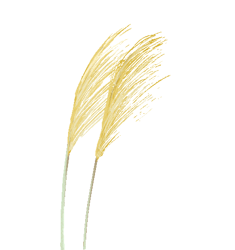 2019年版报关单填制规范_新报关单填制规范_报关单填制规范2020