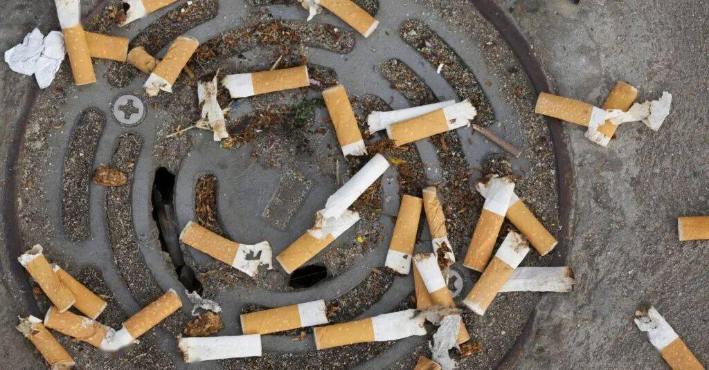 禁烟场所的各种政策和运动之下,大街小巷地上的烟头似乎都没怎么减少