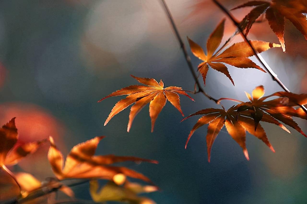 初秋最美的10个瞬间