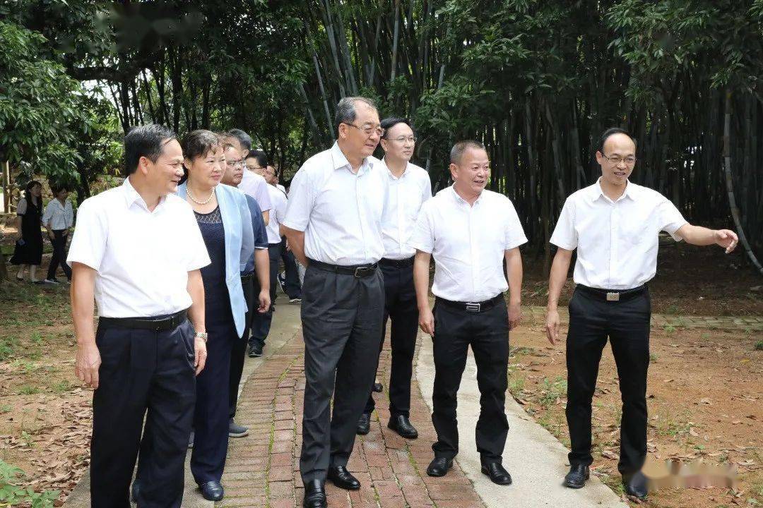 王跃飞到浦北县调研乡镇人大工作