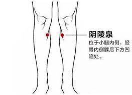 皮茶|春困秋乏夏打盹，可为啥一年四季睡不醒？