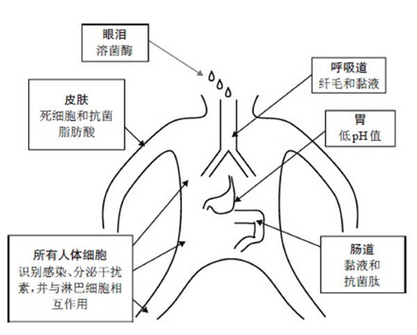 肿瘤|既然免疫系统是人体守护神，为何面对肿瘤却不给力