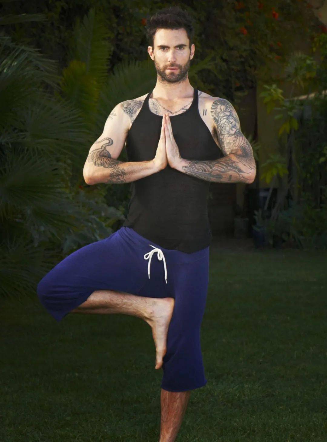 adamlevine驰名双标