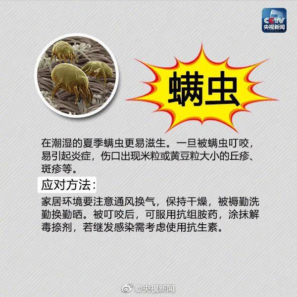 虫子咬了红肿痒怎么办