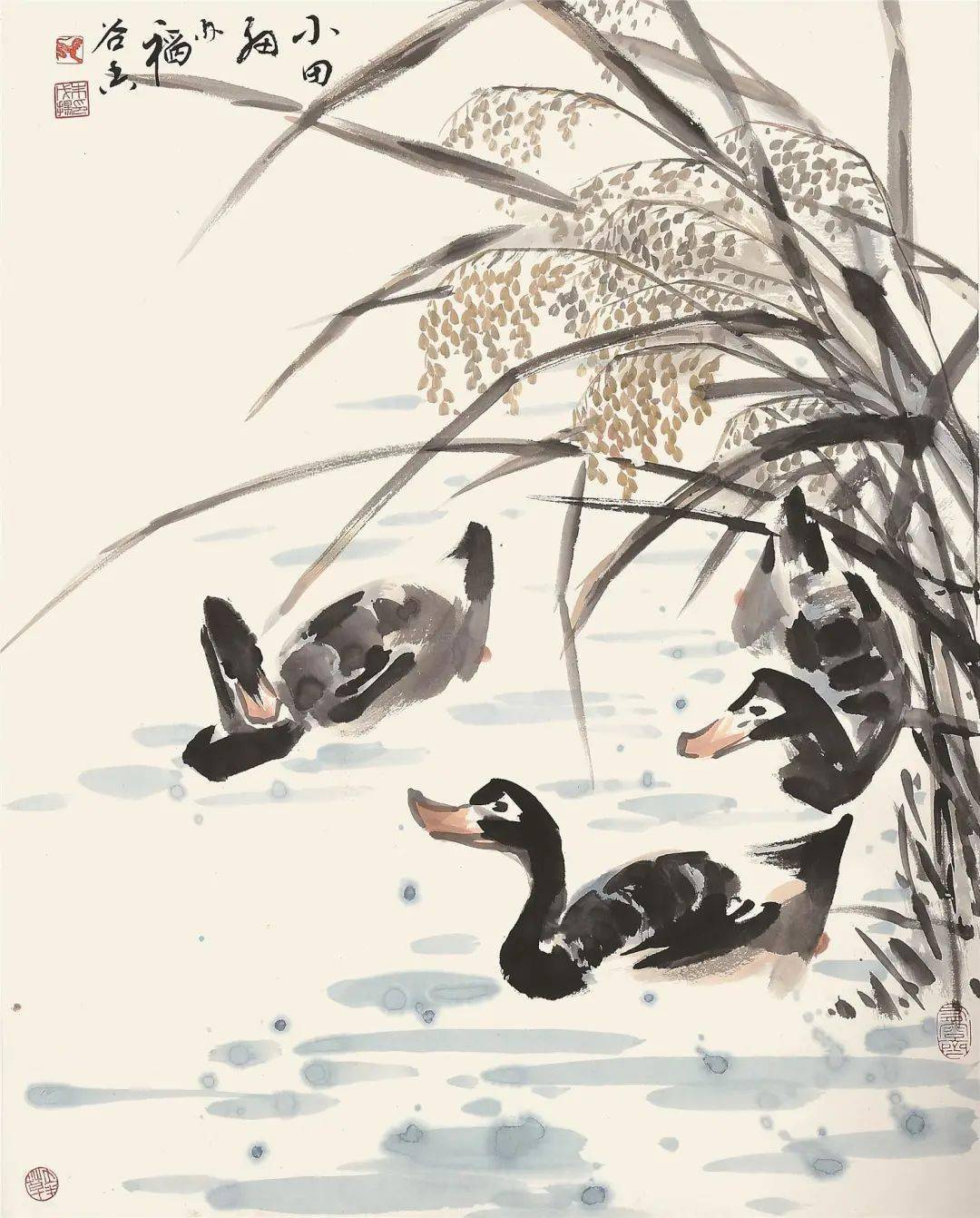 他对水稻情有独钟作品朴实清雅