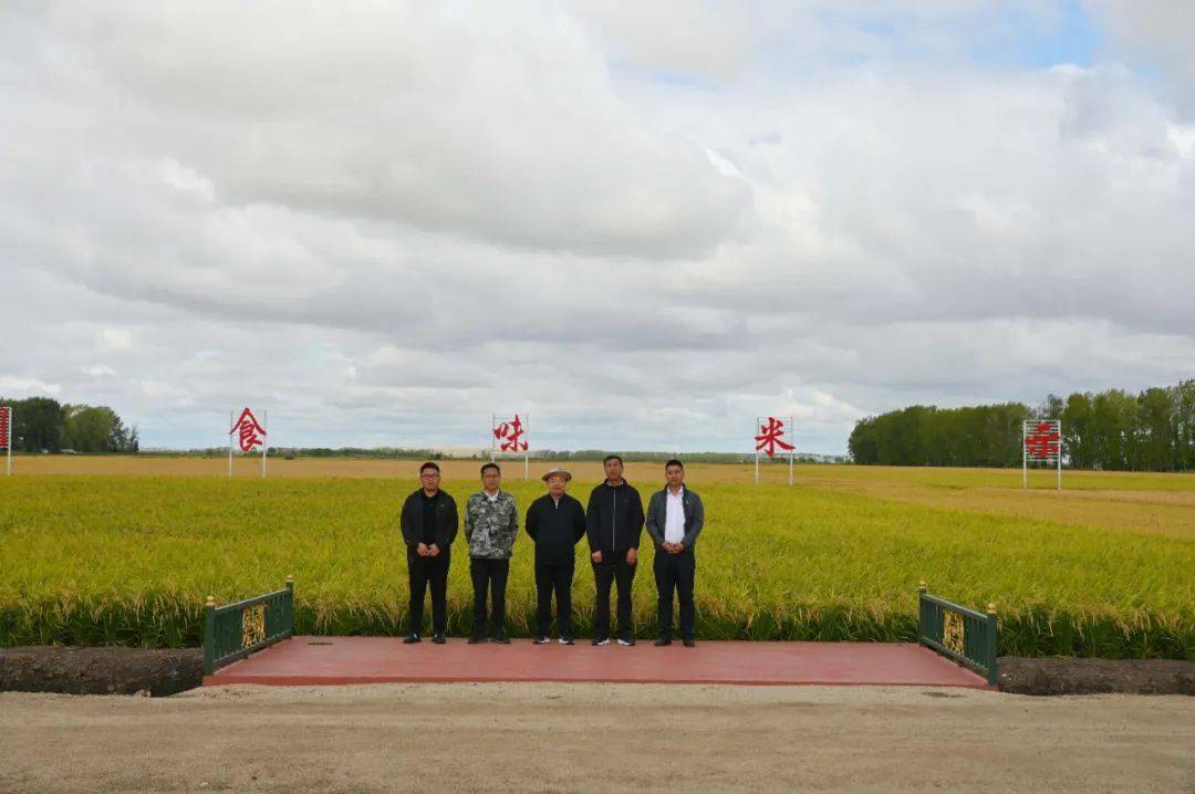江川农场有限公司开展高端优质食味米技术培训
