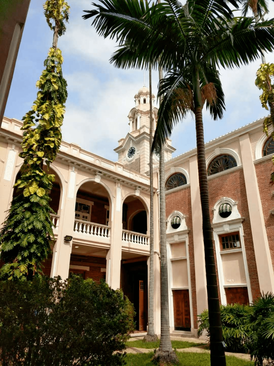 香港大学棺材楼图片图片