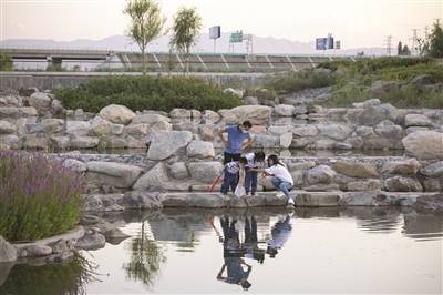 【图】市民在昌吉市自然生态修复公园游玩
