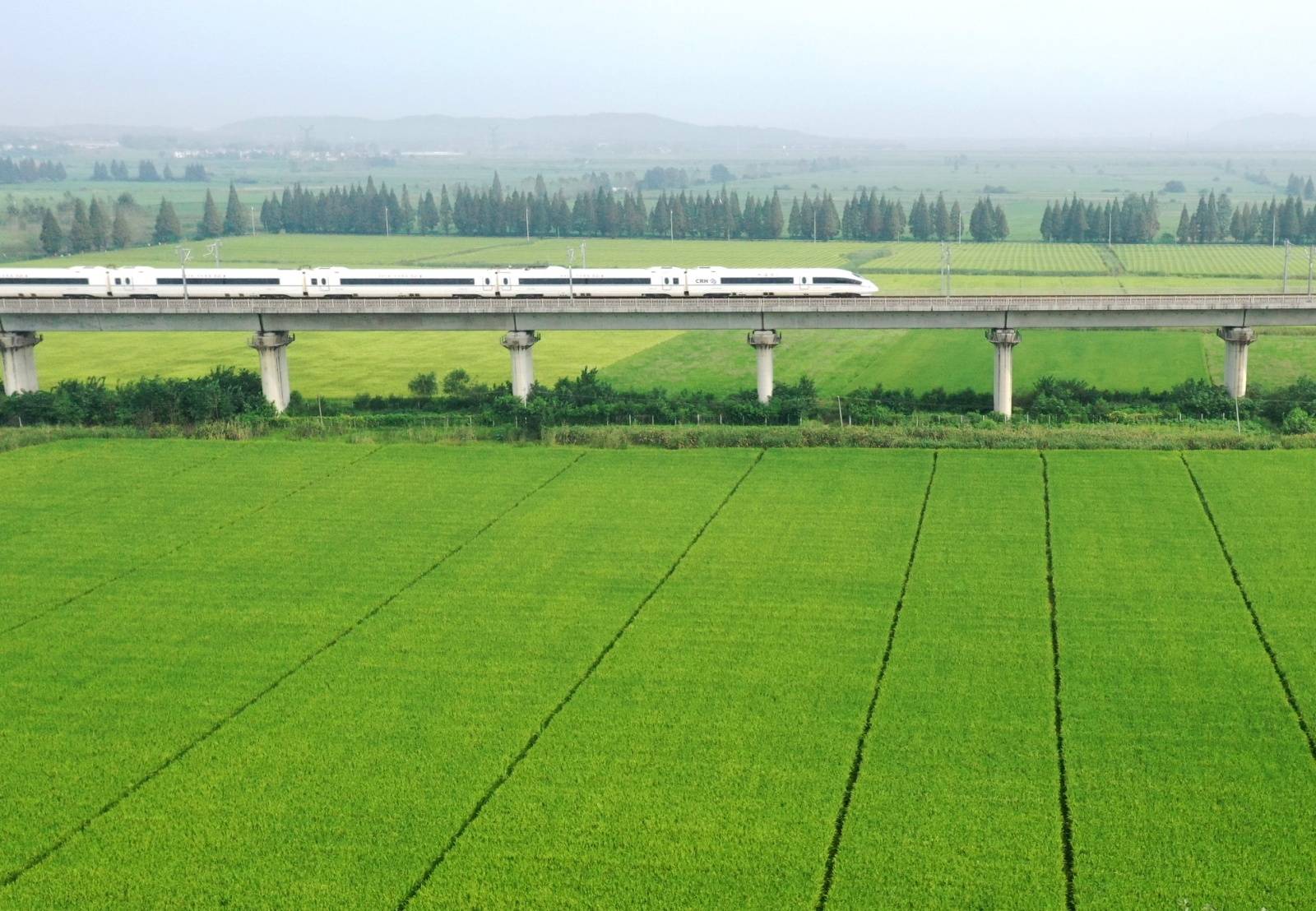 安徽巢湖:初秋时节田园如画_中垾镇