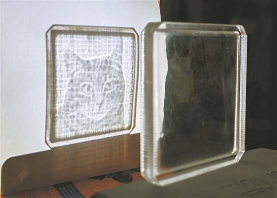 瓷砖|透明瓷砖上“乍现”的猫