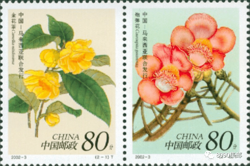 《木芙蓉》邮票设计稿流出,将由张桂徵设计_图稿