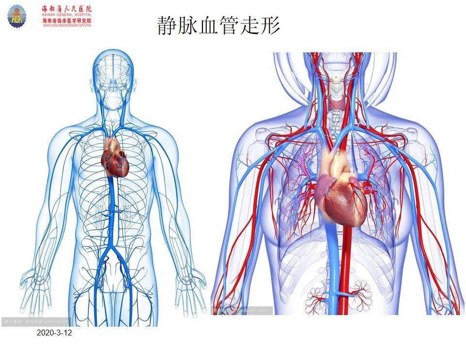 【ppt】血液透析长期导管置管技巧
