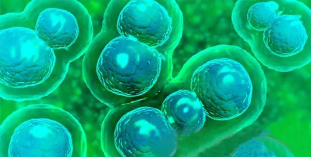 支原体衣原体阳性严重吗到底需不需要治疗