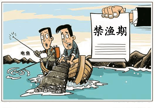 寻乌河道又有人电鱼后果很严重