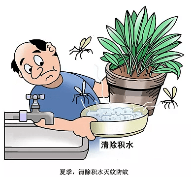 防蚊妙招看这里!