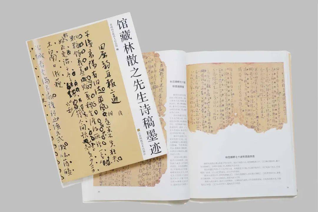 馆藏林散之先生诗稿墨迹 原作欣赏系列 一 书法集