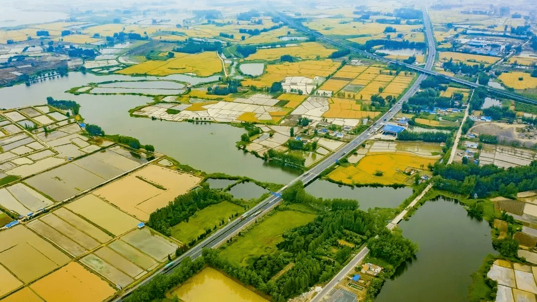 ▼泥沛村街南组盱眙县黄花塘镇月塔村地处涟水县唐集镇东部,离唐