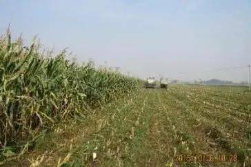 排放|技术流!今年这10项农业重大引领性技术,你知道几个?