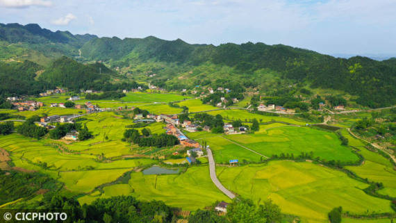 来源|初秋风景美