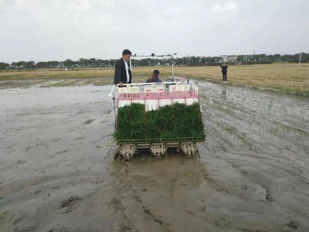 排放|技术流!今年这10项农业重大引领性技术,你知道几个?