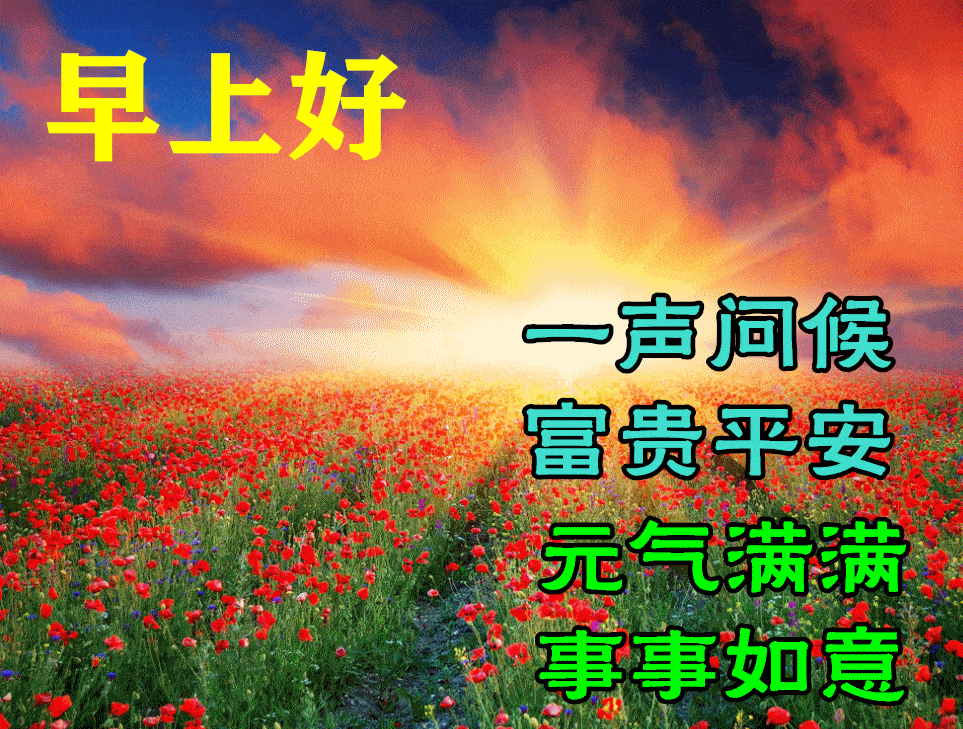 9月3日早上好动态表情图片大全,早晨好动图美图大全