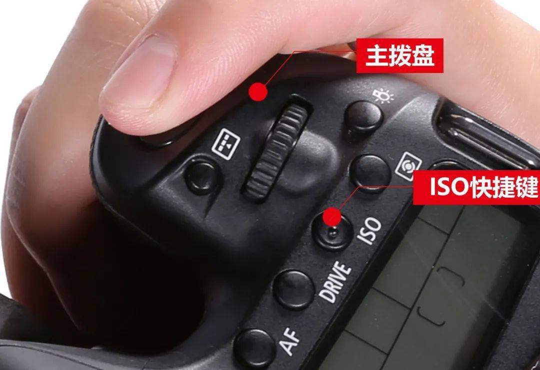 【摄影科普】三:什么是感光度ISO?_照片