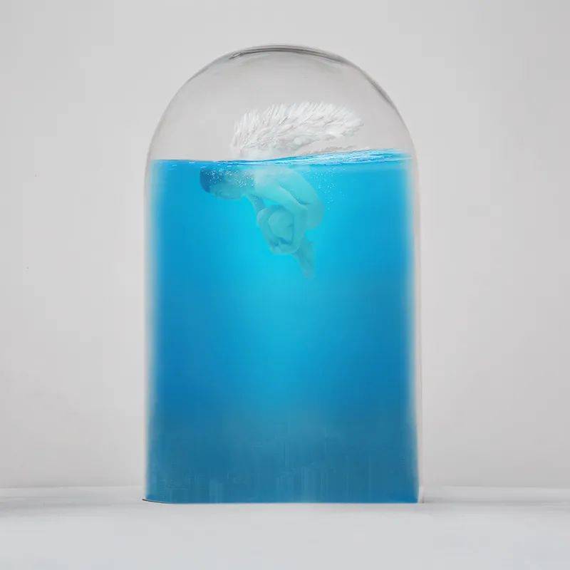 量子|量子观察者（2011-2021）：送另一个我去另一个宇宙
