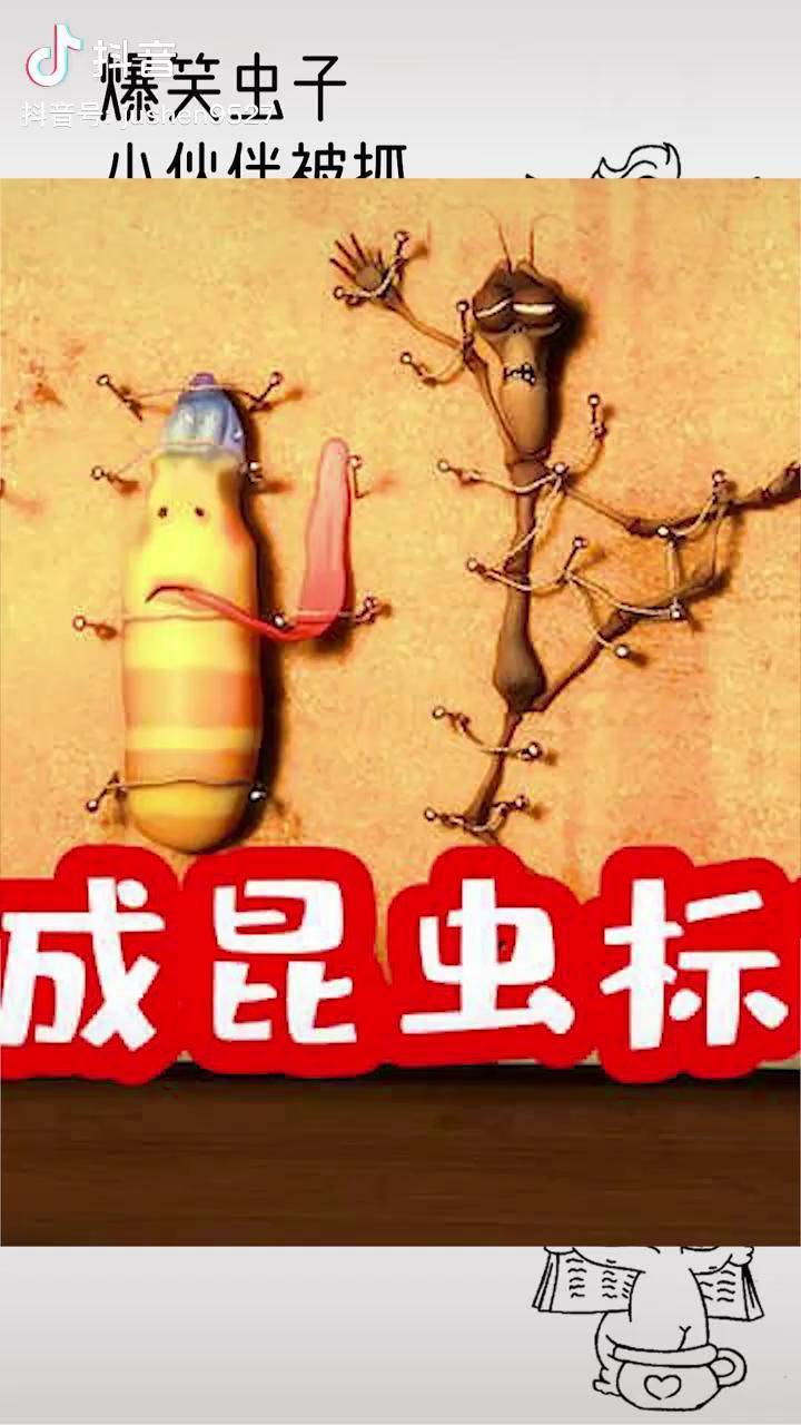 爆笑虫子里的竹节虫图片
