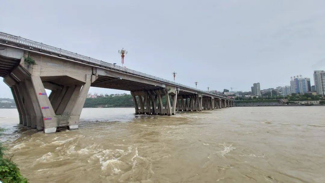 洪灾!撤离!安康明天暴雨继续