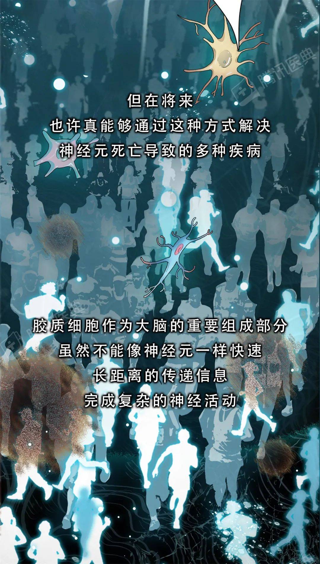 醫典|大腦里被稱作“膠水”的細胞，關鍵時刻會“豁出命”救你