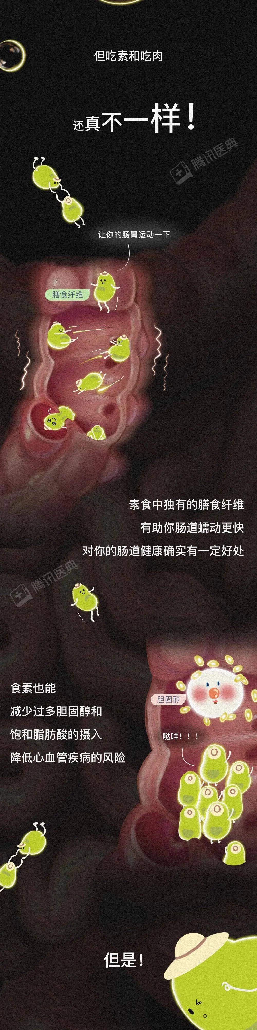 Barbero|那些長期吃素的人，后來怎么樣了？