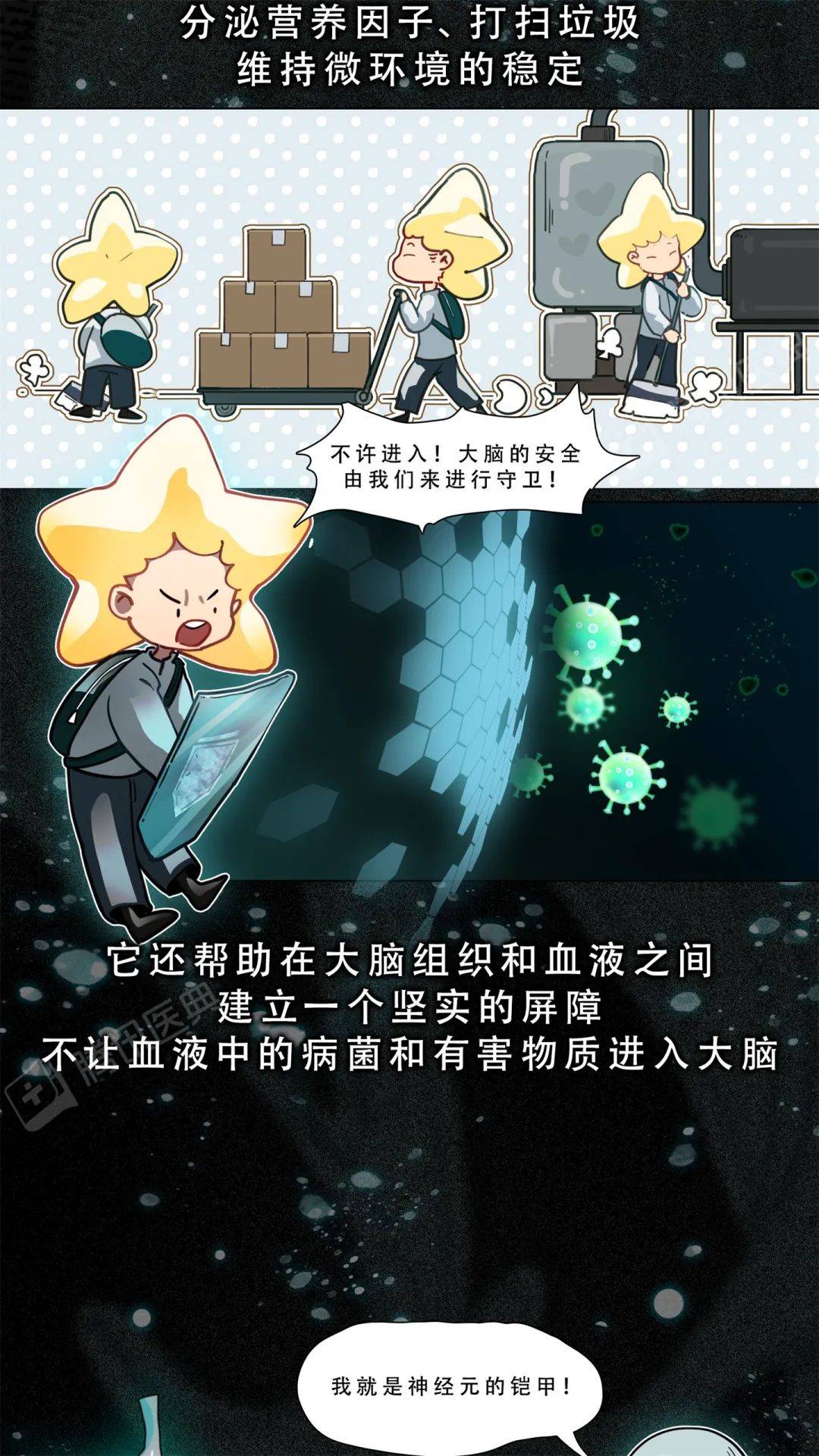醫典|大腦里被稱作“膠水”的細胞，關鍵時刻會“豁出命”救你