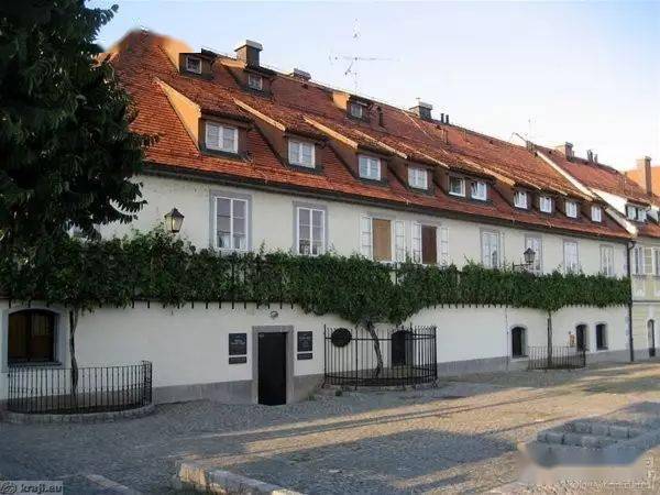 年份|葡萄酒的百年孤独