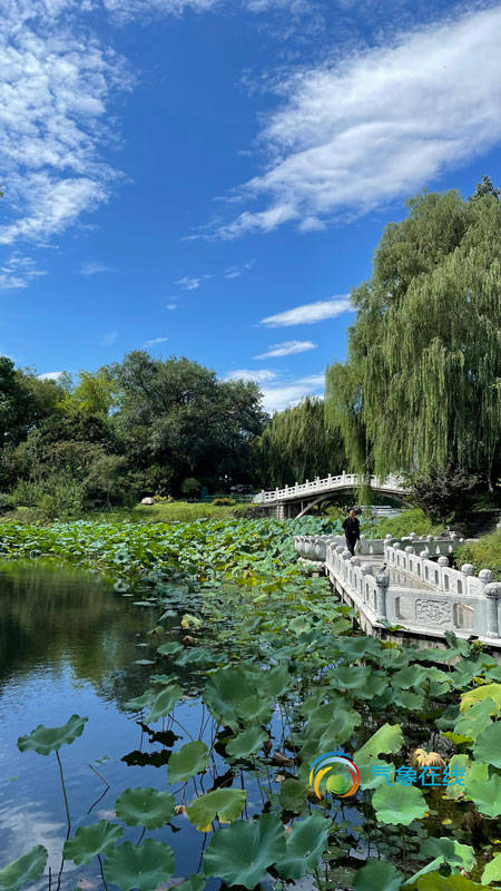 北京紫竹院公园风景图片