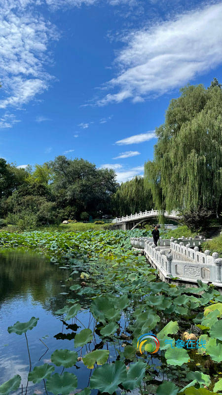 北京阴雨过后放晴紫竹院公园景色如画惹人醉