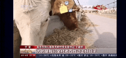 宁夏|宁夏是祖国西部的一块宝地