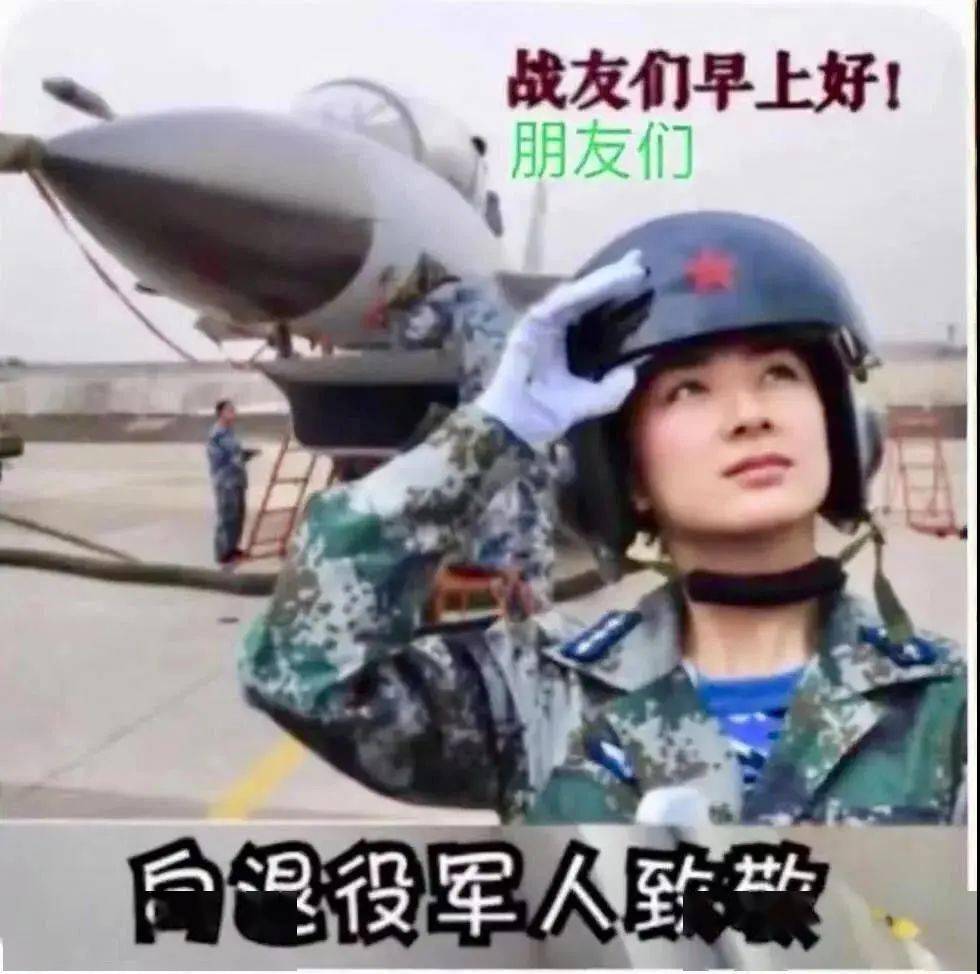 早上好表情包戰友們辛苦了兄弟姐妹們向退役軍人致敬