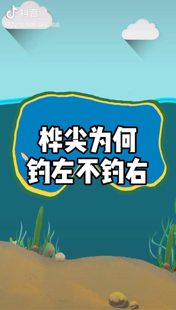 桦尖为何钓左不钓右钓鱼钓鱼技巧野钓