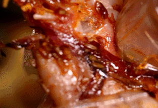 ec41ba57516143bfb2050d221005f2ca.png