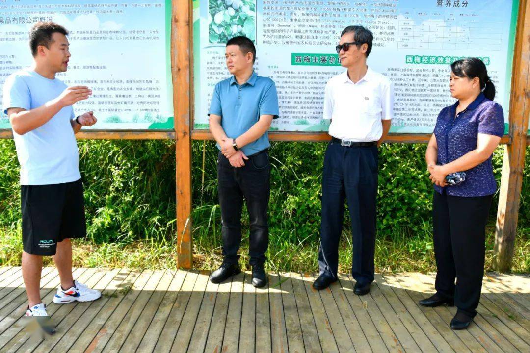 县委书记王启云,县委副书记,县长孙昕,副县长段红莲参加.