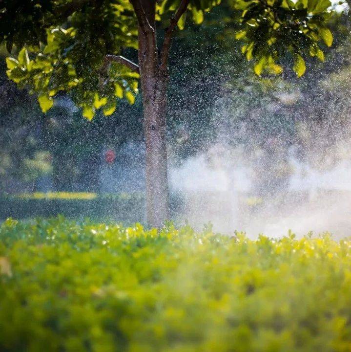 秋雨微凉,34句诗词,带你看尽秋雨之美_李商隐
