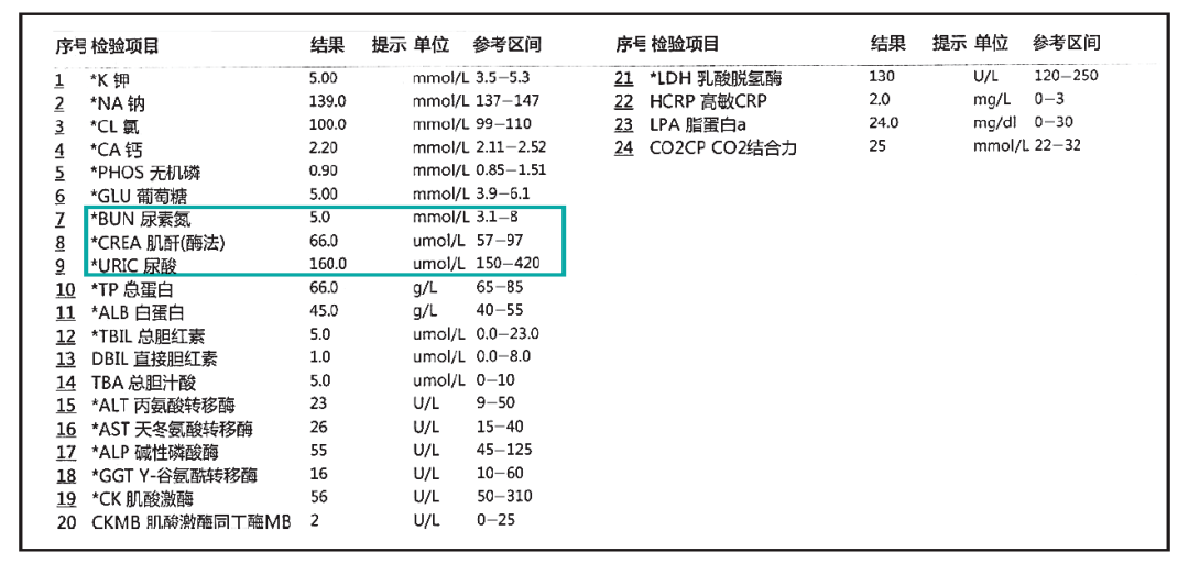 早期肾损伤的标志物图片