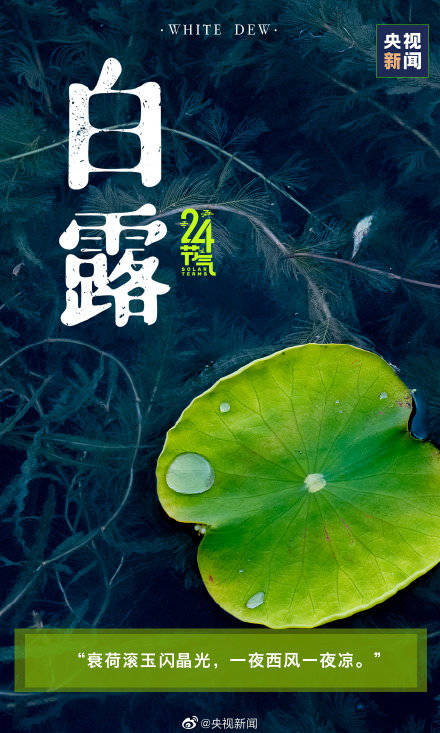 时节|今天白露，最舒适的时节来啦！转起迎接！