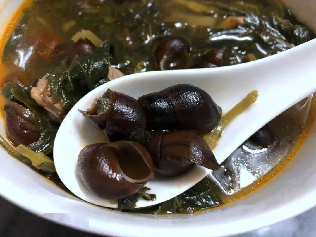 惠州农村这种野味去捡过吗现在要几十块1斤