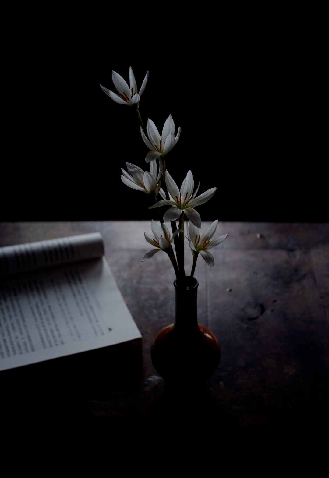 在古人的解释中,风雅多指向个人的修养与情操,它必然是在案牍劳形之外