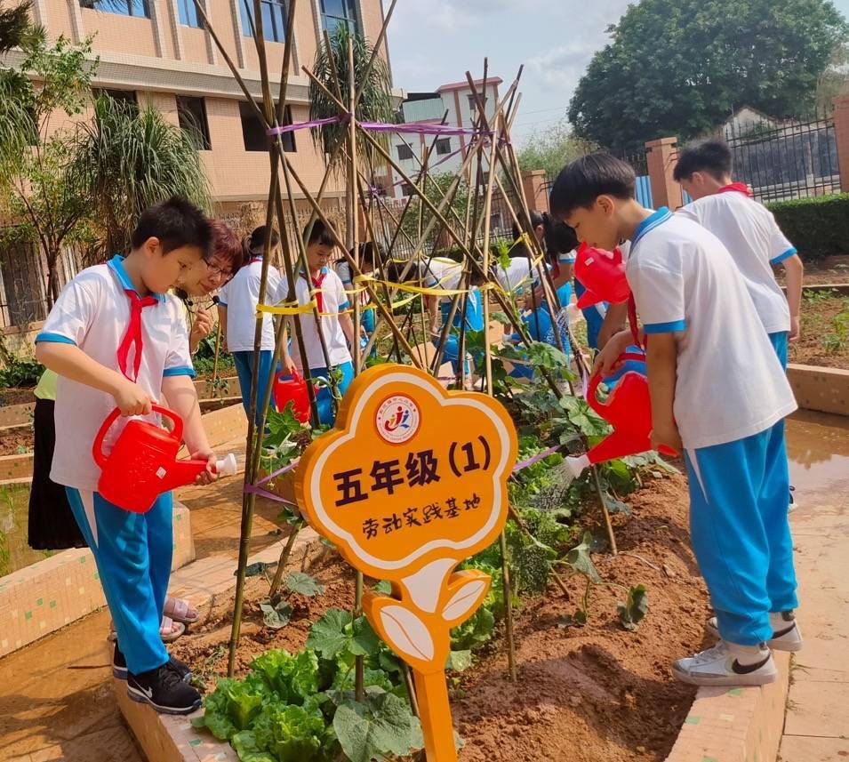 东坑镇中心小学在"劳动"教育上大做文章,将劳动教育纳入人才培养全