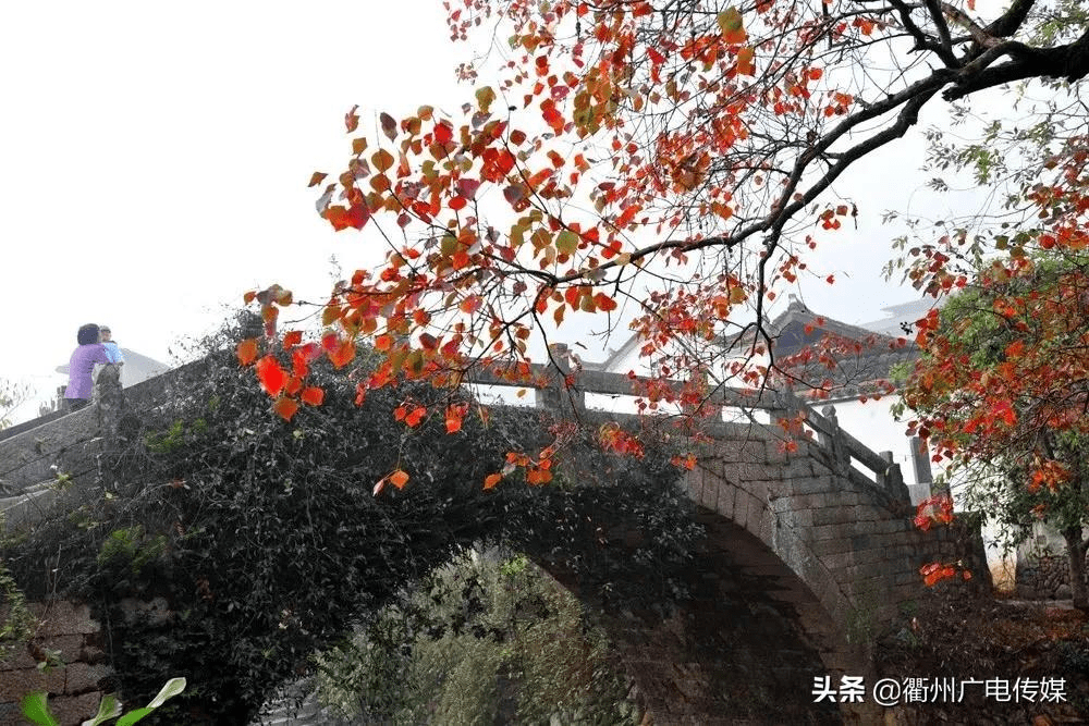 衢州的这些桥,你走过几座?_大桥